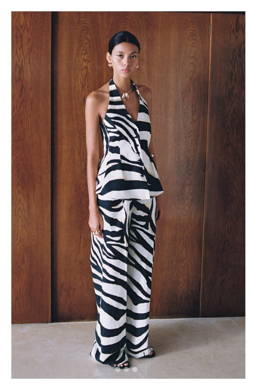 Conjunto zebra