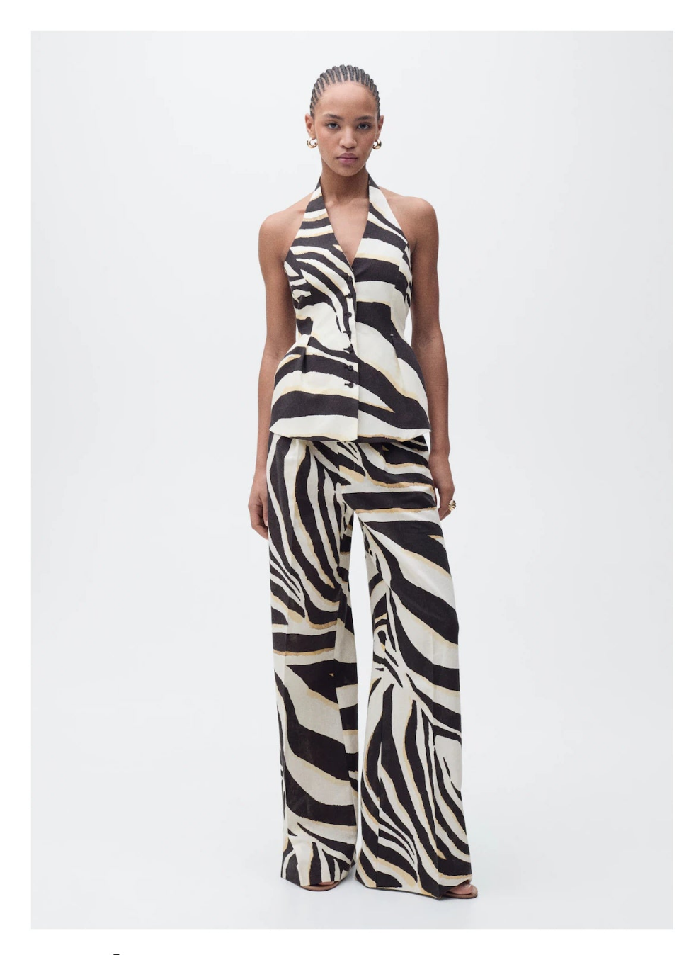 Conjunto zebra