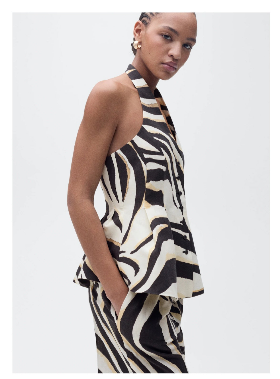 Conjunto zebra