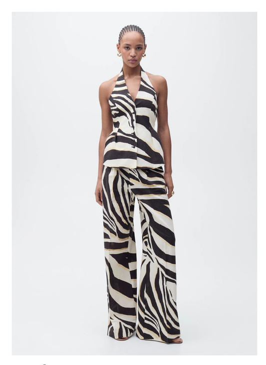 Conjunto zebra